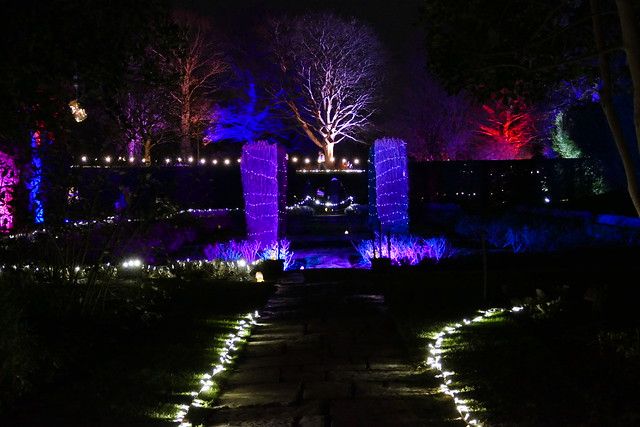 Enchanted Eltham - illuminations in the sunken rose garden