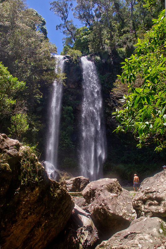 Springbrook National Park | Flickr