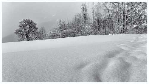 fineart götzens landscape monochrome alps austria bw tirol galvanol blackandwhite winter olivergalvan