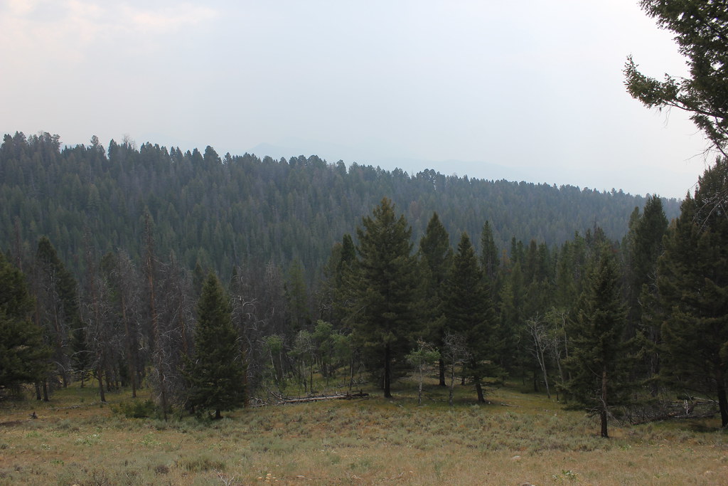 BLUE CREEK