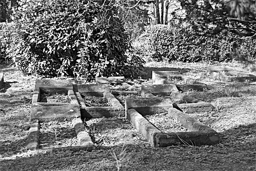 quaker quakers hull graves grave trees brianarchie65 geotagged generalcemetery quakercemeteryhull kingstonuponhull cityofculture springbankwest blackandwhite blackandwhitephotos blackandwhitephoto blackandwhitephotography blackwhite123 blackwhiterealms unlimitedphotos ngc flickrunofficial flickr flickruk flickrcentral flickrinternational ukflickr