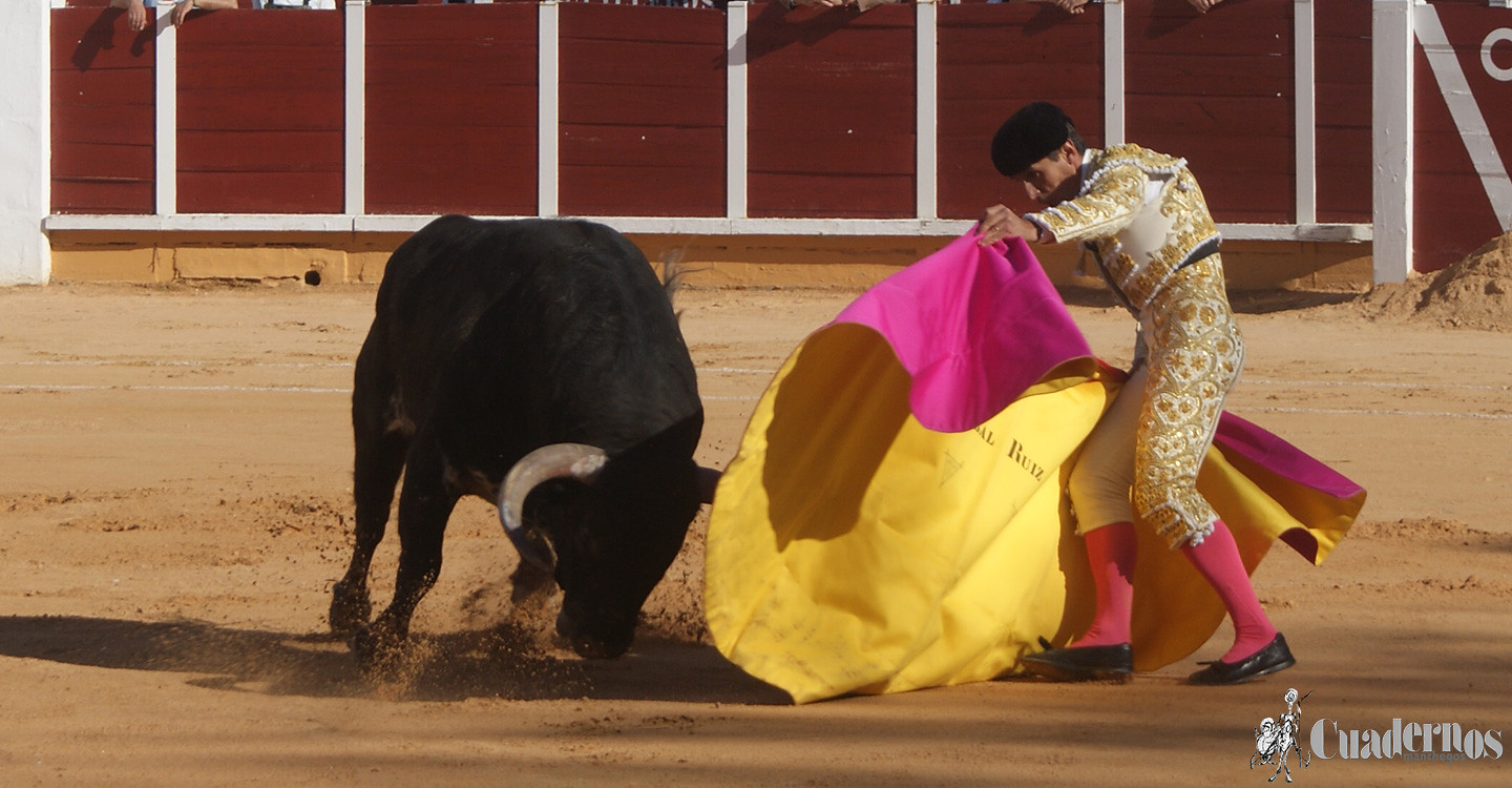 14042019-VII-corrida-benefica-de-toros-celebrada-en-tomelloso-41
