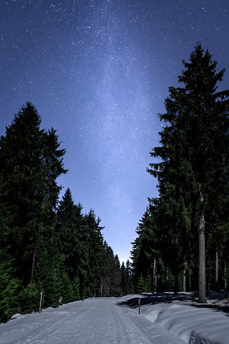 nacht schnee deutschland baum winter milchstrase thüringen sterne wald langzeitbelichtung astro neuhausamrennweg de