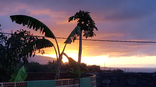 sundown sunset holiday urlaub palmen banane color farben himmel sky