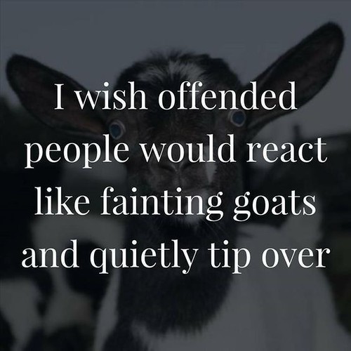 Best Funny Quotes : 22 Super Funny Quotes #funnyquotes #sa… | Flickr