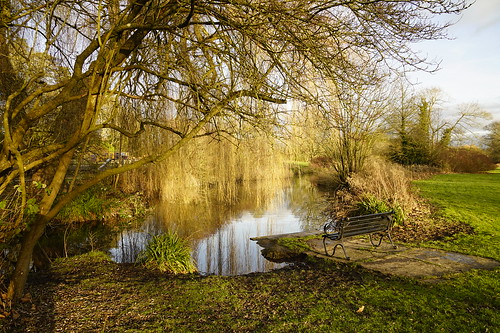gloucestershire cotswold england cirencester uk gb britain outdoors sony alpha ilce7rm2 a7rii zeiss nature reflection bench seat golden retreat peace silence tranquil day sunshine sun trees water lake sky branches memories quiet green yellow gold park field landscape horizon cotswolds