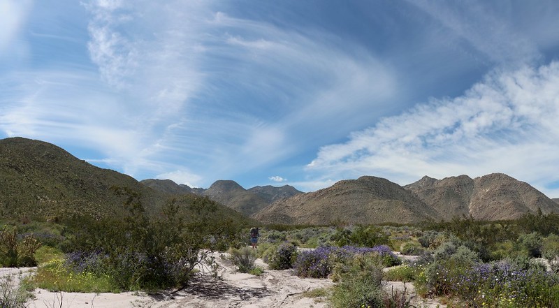 Panorama shot as we head on the footpath across Collins Valley toward Sheep Canyon