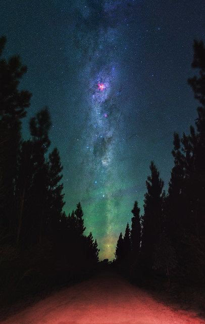 Summer Milky Way - Jarrahdale Pines, Western Australia