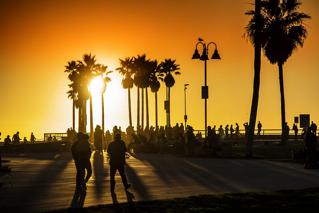 Venice Beach Action At Sunset, LA