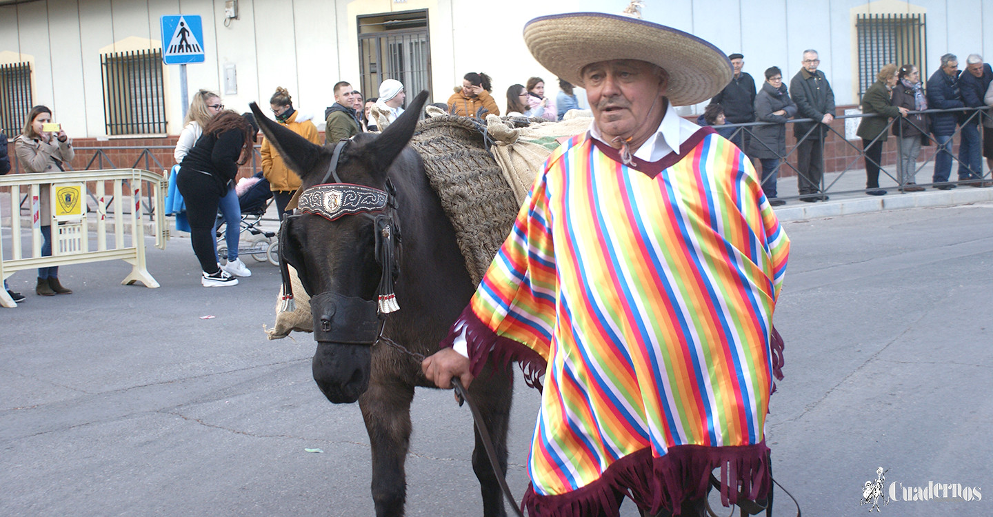 carnaval-tomelloso-desfile-locales-2019 (307)