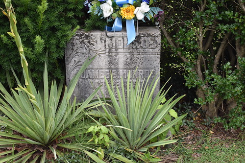rosine kentucky cemetery grave bluegrass fatherofbluegrass grandoleopry halloffame hof