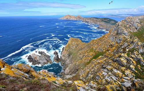 atlanticocean atlantic espana spain illascies cies vigo pontevedra galicia cliff sea ocean nature rock sky seagull nationalpark reserve summer