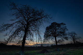 Hollingbourne Meadows sunset 2