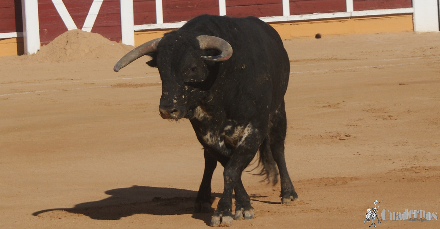 14042019-VII-corrida-benefica-de-toros-celebrada-en-tomelloso-36