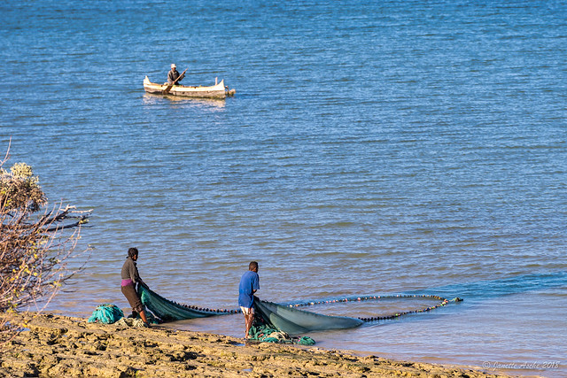 Hauling in fish net, Madagascar