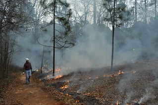 fire on the plains | by Auburn University