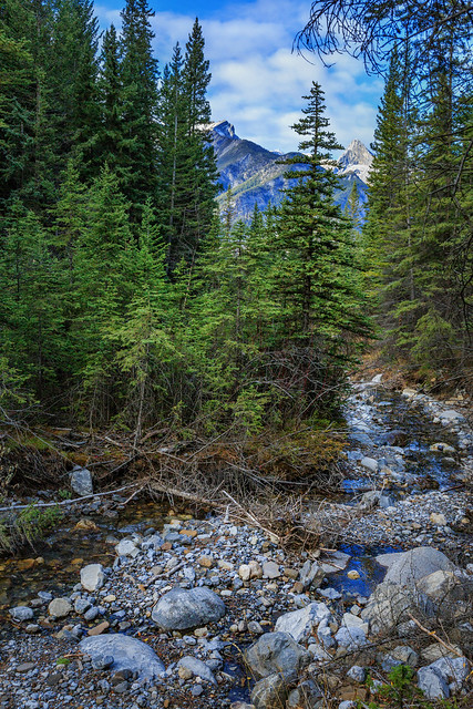 Heart Creek, Canmore