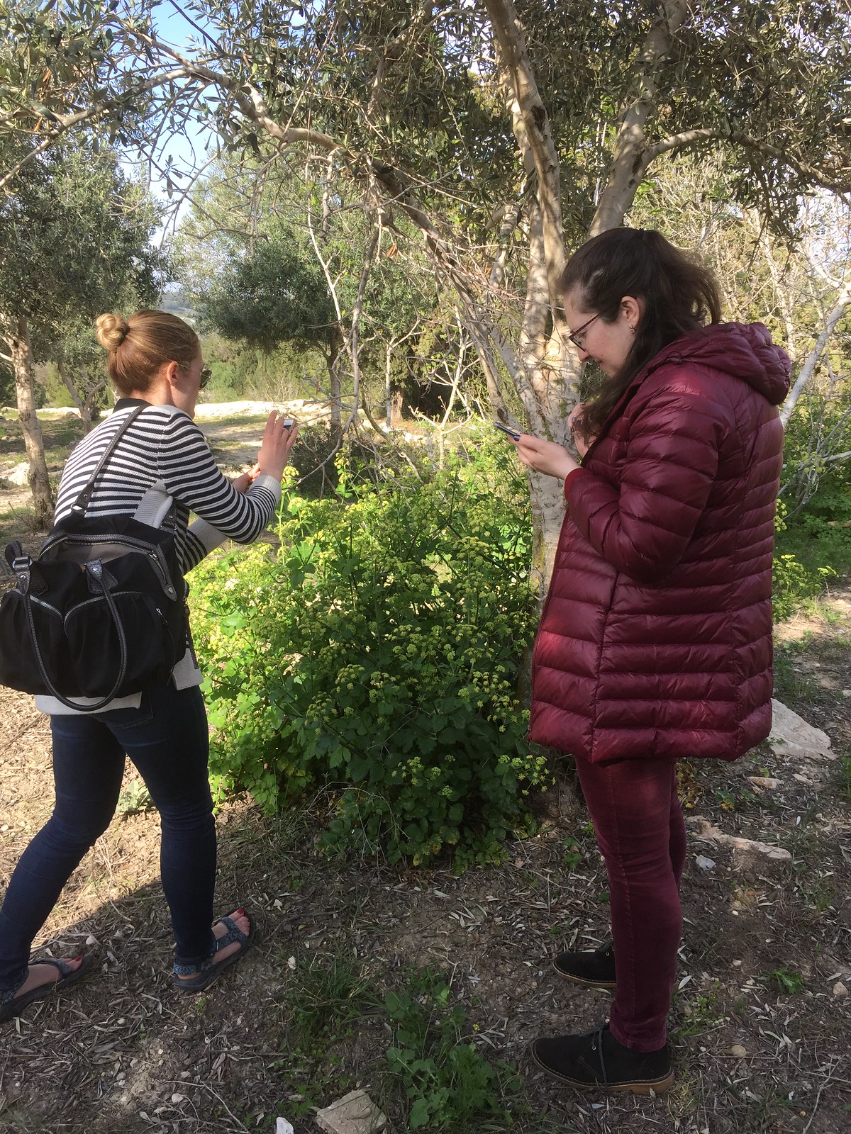 My Students Rock! Fougere Week-Long Course March 24-28, 2019 Perfume Trail in Park Adamit