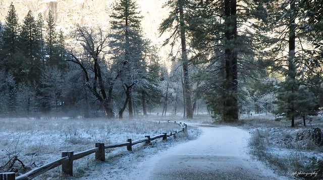 January Morning Frost - Yosemite Valley