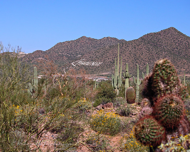Phoenix Sign at Usery Mountain Regional Park, Mesa Arizona