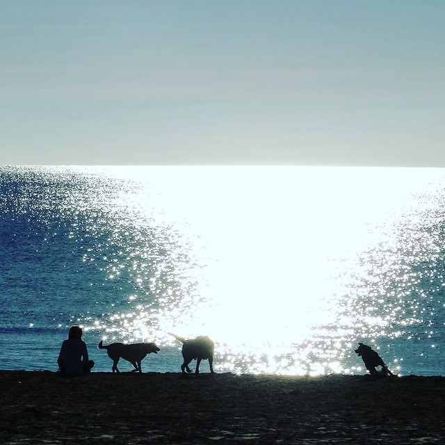 Playa Arrabassada (Foto de @j_tejerina)