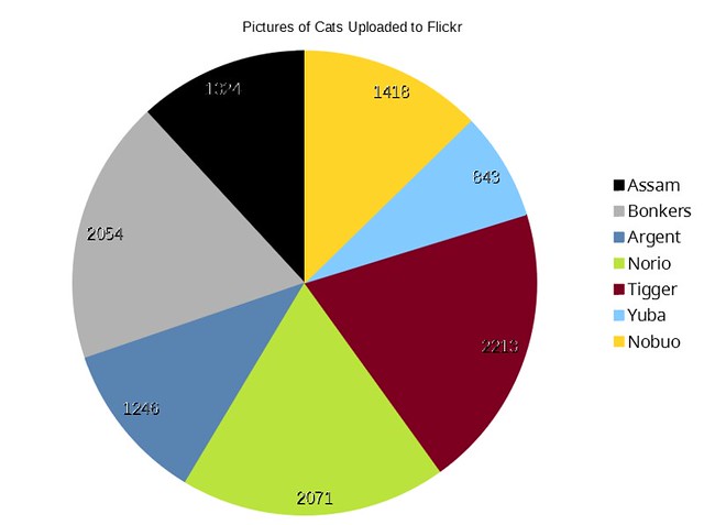 How Many Pictures of Each Cat, in One Pie Chart
