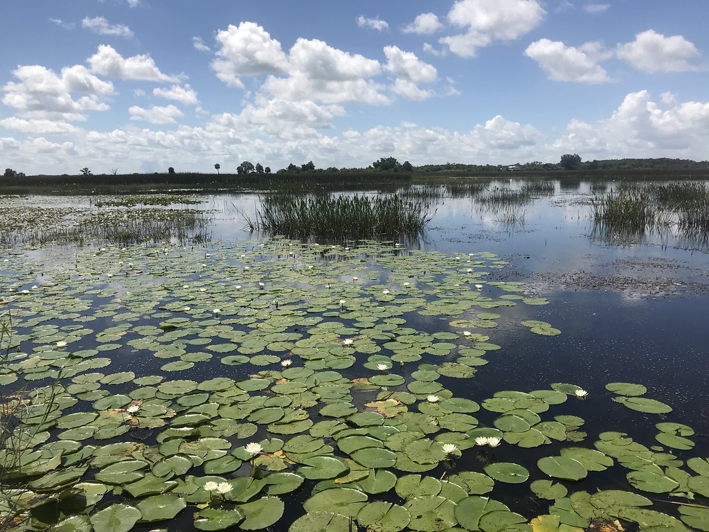 Freshwater Lake