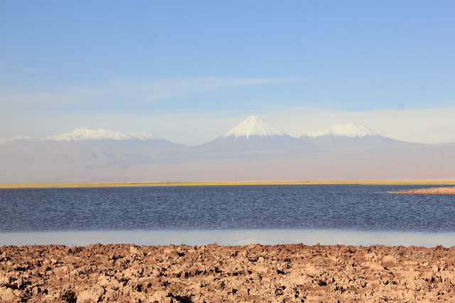 Dia 3: Adios Santiago, Hola San Pedro de Atacama: tour a Laguna Cejar (15/02/19) - Por el fin del mundo: Atacama, Perito Moreno, Patagonia e Isla de Pascua (28)