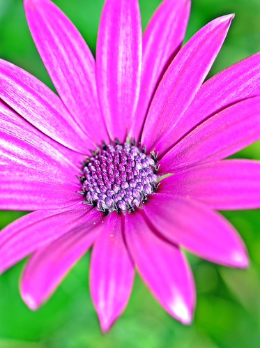 DSC_8374 | by kurs@tz