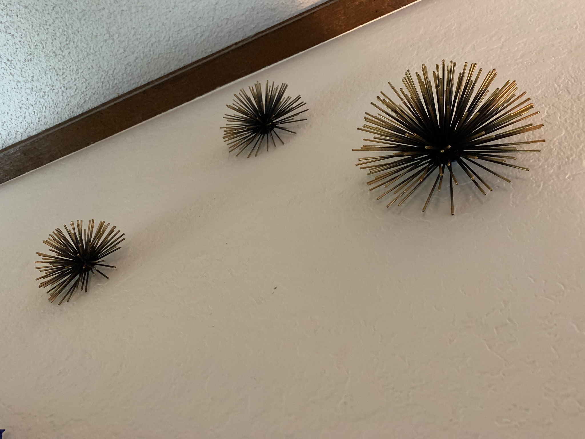 Wall urchins