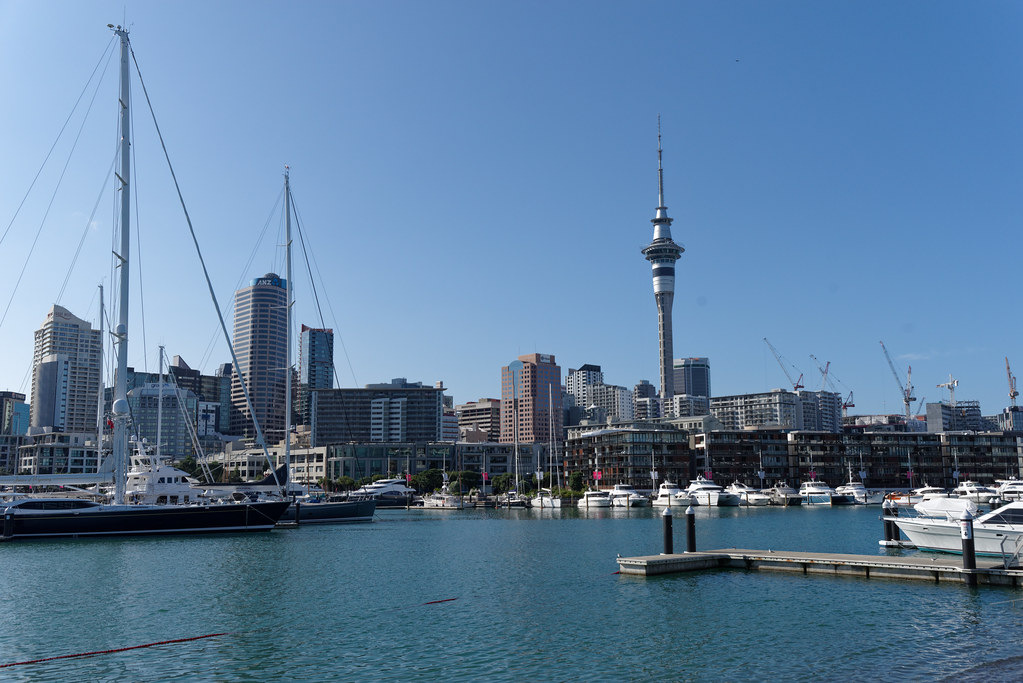 Auckland views