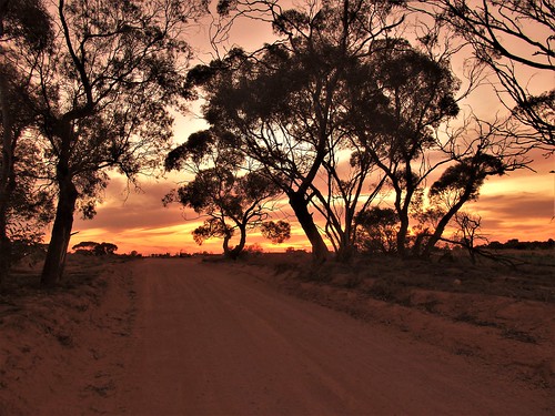 mallee sunset sunraysia red cliffs landscape mildura murray river australia olympus sh60 scrub bush stewart road