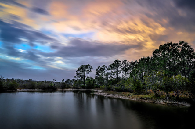 Long exposure of clouds over pond at sunrise at Babcock Wildlife Management Area near Punta Gorda, Florida