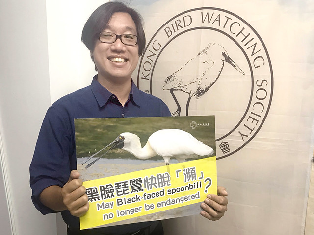 香港觀鳥會研究經理余日東喜見黑臉琵鷺數字漸趨穩定，有望脫「瀕」
