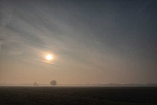 Misty Morning - Nonantola, Modena, Italy - January 7, 2019 by G.Galeotti, 