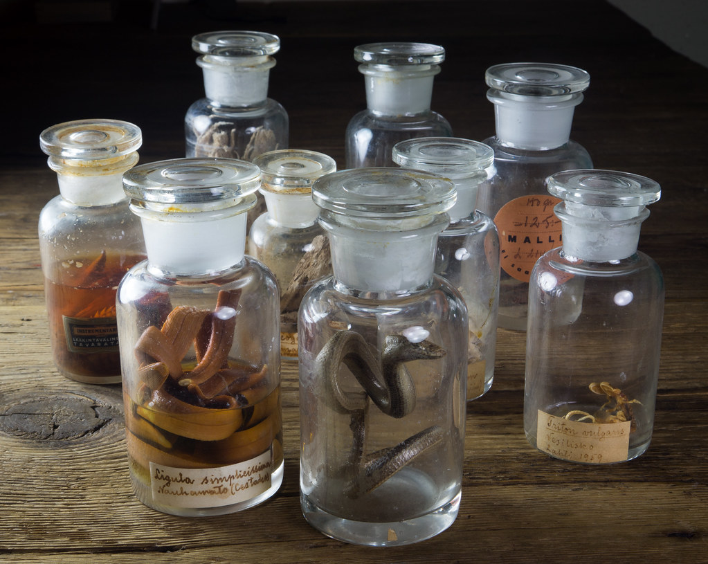 Biological specimens from 1950's | A*J*P | Flickr