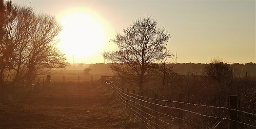 cameraphone samsung s7 sunset druridge druridgeponds trees northumberland landscape sun light dusk fence fenceline silhouette