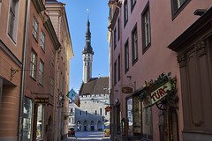 View Of Tallinn townhall