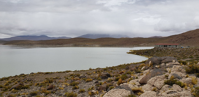 The Stinking Lake (Laguna Hedionda) at 4,121m. (13,520.34 ft.), Bolivian Highlands (Altiplanos Boliviano), Potosí, Bolivia.