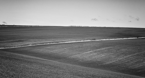 landscape yorkshire eastyorkshire yorkshirewolds blackwhite monochrome deepdale wharrampercy yorkshirewoldsway chalklandway centenaryway longdistancefootpath farmland