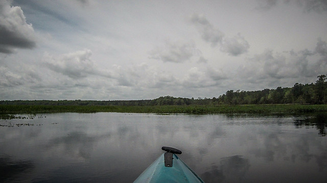 Kayaking to Pompion Hill Chapel on Huger Creek, Cooper River, and Quinby Creek