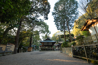 生駒大社　二月の朝　|　Ikoma Shrine in the February Morning