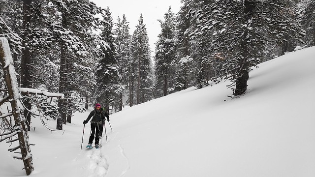 IMG_20190202_125756