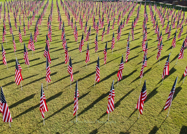 Veterans Day Flags