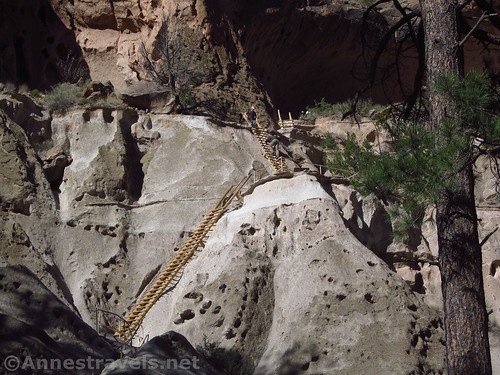 Ladders leading up into Alcove House, Bandelier National Monument, New Mexico