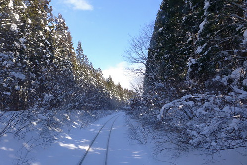 rail 秋田内陸縦貫鉄道 秋田内陸線 akitanairikujūkanrailway akitanairikuline 車窓 window 雪 snow tree forest