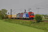 482 048-6 [aa] u. 482 011-4 SBB Cargo zwischen Ladenburg und M-Friedrichsfeld
