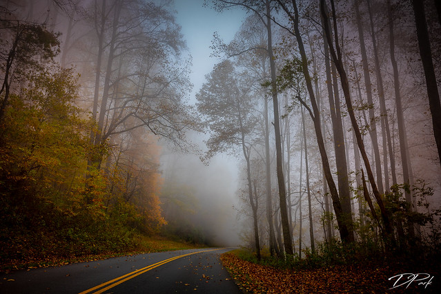 Blue Ridge Parkway Fog.jpg