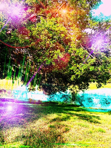 Celestial Hues | by susiewahome