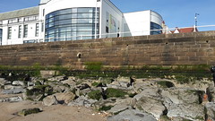 Sandstone seawall in front of Royal Hall